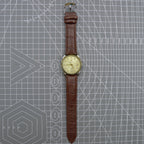 Dandong Peacock 37mm manual mechanical watch with golden dial, single calendar, 33 jewels, elegant design.