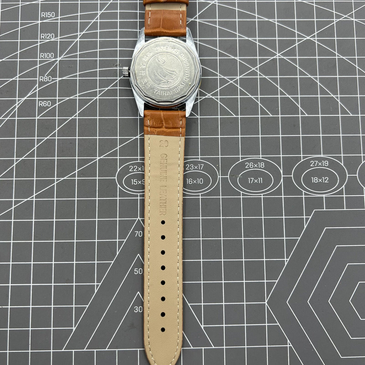 TAIHANG 38mm manual mechanical watch featuring golden hour markers, silver dial, round case, and 17 jewels for precision.
