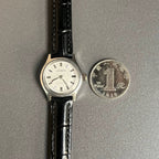 LEISDA Ladies Manual Wind Mechanical Watch 19 Jewels Sea Gull Movement Vintage