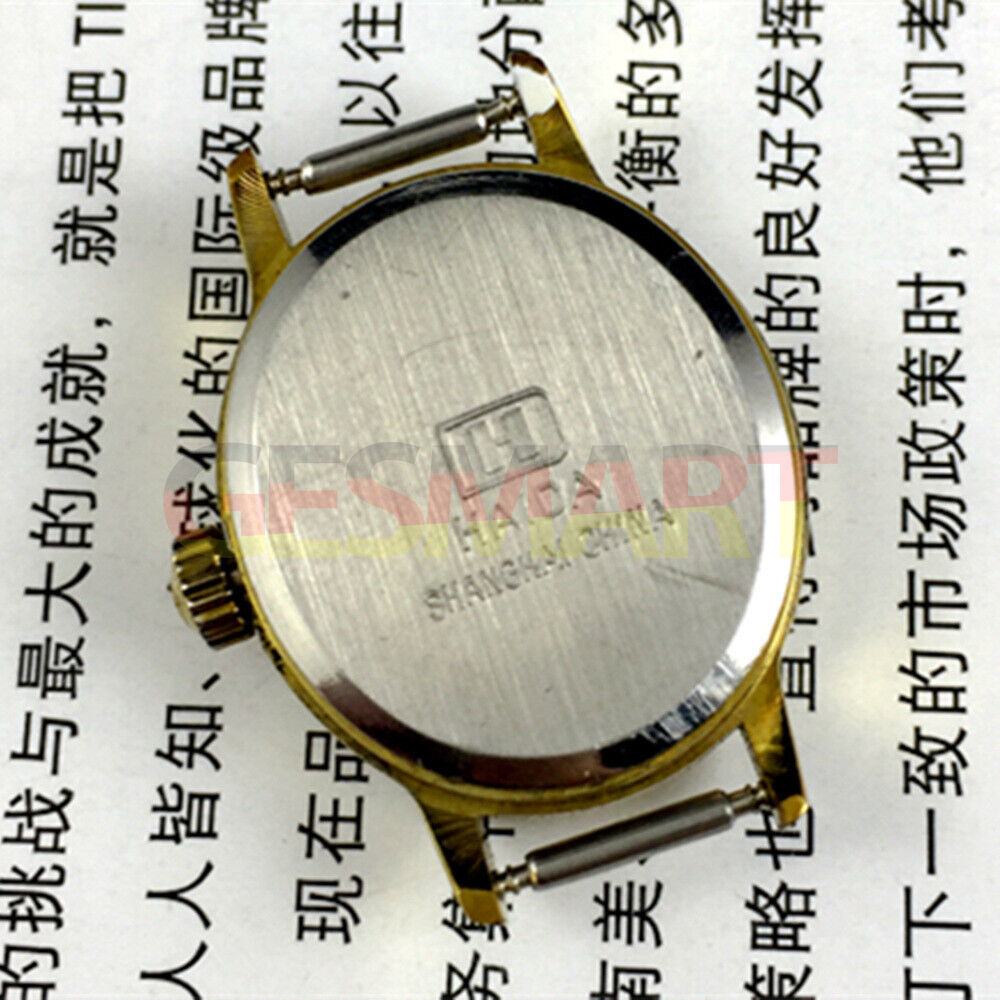 Elegant manual mechanical lady watch featuring imitation diamond markers, 17 jewels, and a single calendar at 6 o?clock.