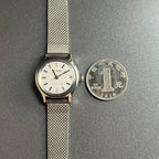 LEISDA Vintage Ladies Manual Wind Watch 19 Jewels Sea Gull Movement NOS