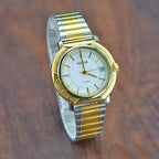 HAIDA Men's Manual Wind Mechanical Watch Brushed Gold Bezel Two-Tone Classic