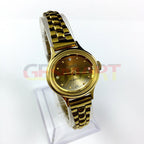 HAIDA 23mm gold manual mechanical lady watch with 17 jewels and gradient brown dial for elegant style.