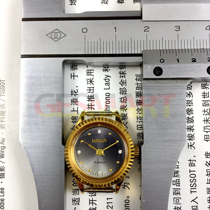 HAIDA 24mm manual mechanical lady watch with grey dial, golden nail markers, 17 jewels, and round case.