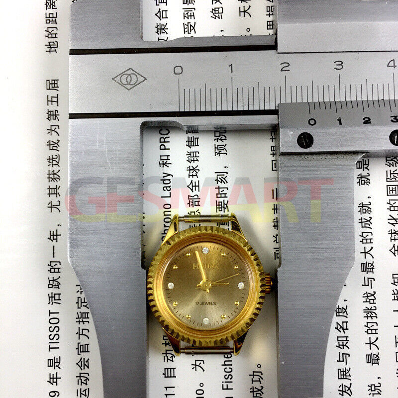 24mm HAIDA Lady Watch featuring golden nail markers, 17 jewels, and a gradient brown dial for stylish wear.